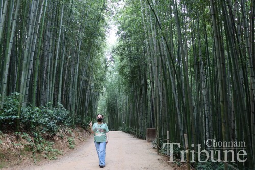 The dense bamboo forest of Jungnogwon