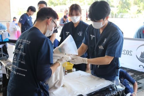 The members of the NEO, an overseas volunteer group from the College of Veterinary Medicine at Chonnam National University, provided animal medical services in Cambodia in January.