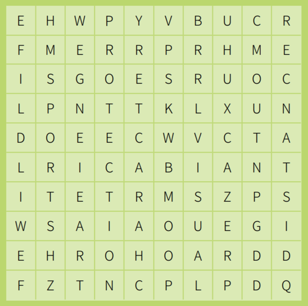 Puzzle: Word Search Game
