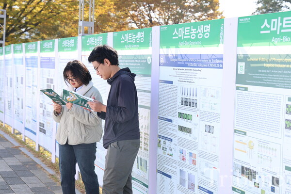 Students read the festival pamphlet in front of the academic posters displayed at the Minjumaru lawn square.
